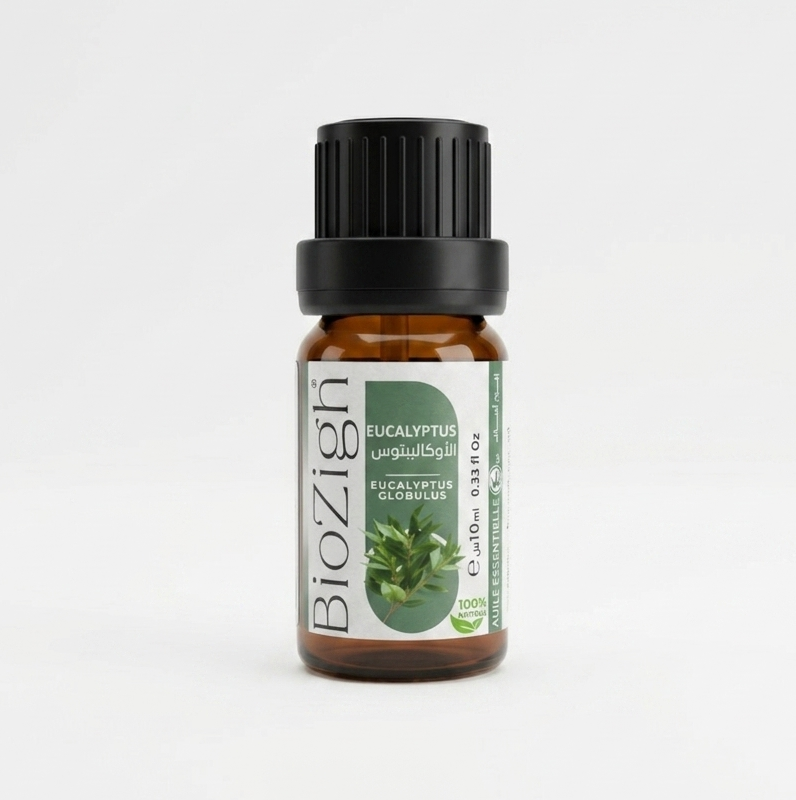 HUILE ESSENTIELLE D'EUCALYPTUS 10ML